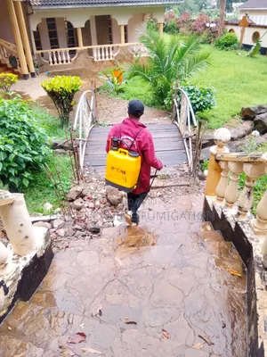 Fumigation/Cleaning Services/After Party
