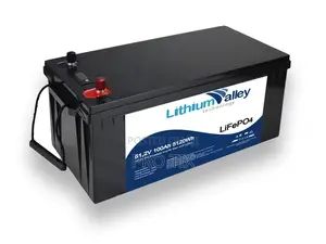 51.2v 100ah Lithium Battery Lifepo4 Solar Backup Power