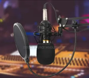 Bm800 Condenser Mic – Best for Recording
