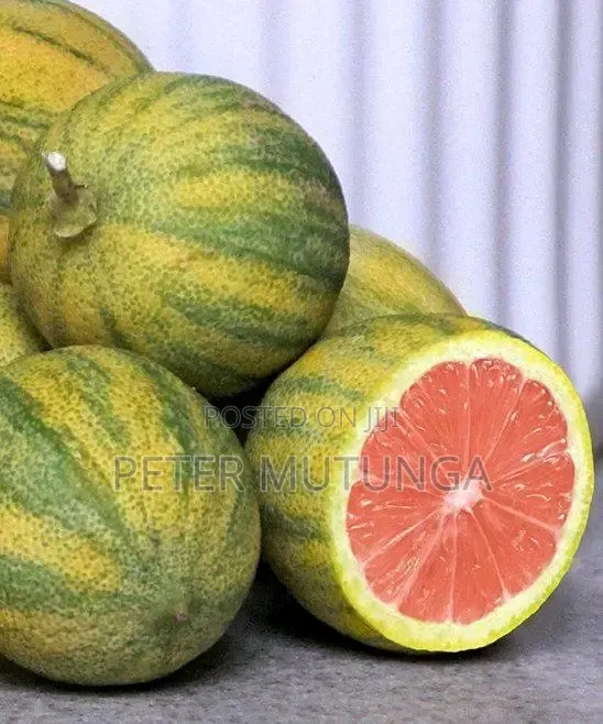 Variegated Lemon