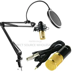 Bm800 Microphone – Pro Sound