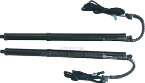 Land Cruiser Lc 300 Electric Boot Shocks
