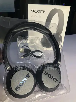 Wh-Ch520 Sony Head Phones