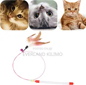 Retractable Wand Interactive Feather