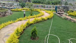 Landscaping Services