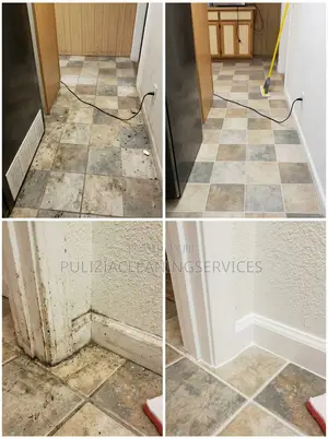 Professional House/ Workplace Deep Cleaning