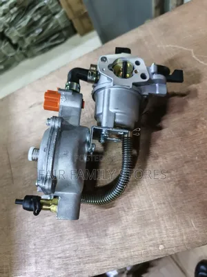 Gas–Petrol Carburetor Switch (Dual-Fuel Switch):