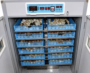 Heavy Duty 2112 Automatic Egg Incubator (Ac Only)