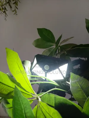 Darkness Sensor Outdoor Lighting (Solar)