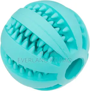 2-in-1 Dog Treat Chew Ball