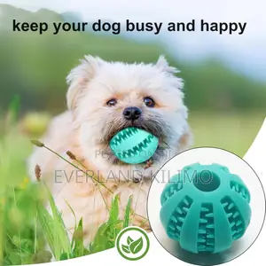 Interactive Dog Toy for Boredom Relief Teeth Cleaning