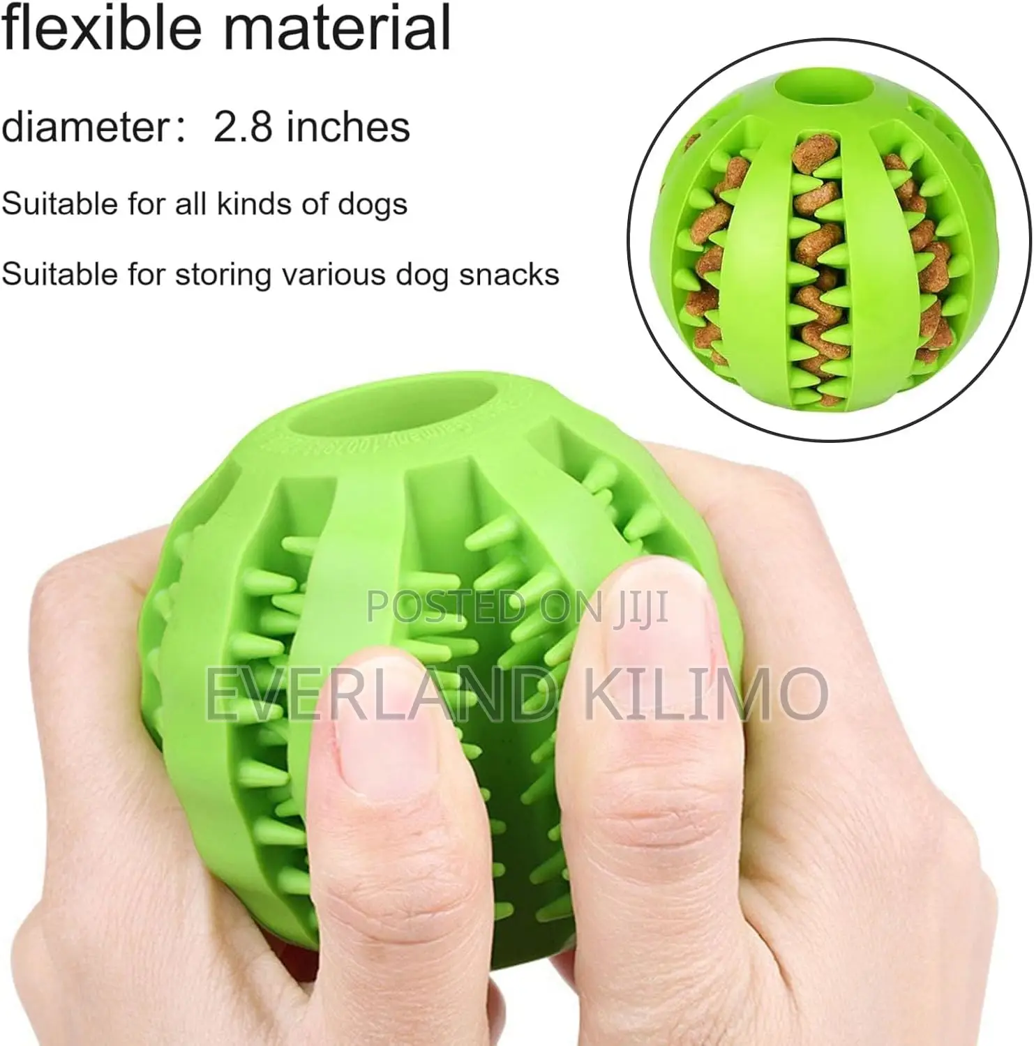Puppies and Cats Interactive Toy Ball