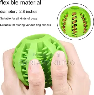 Puppies and Cats Interactive Toy Ball