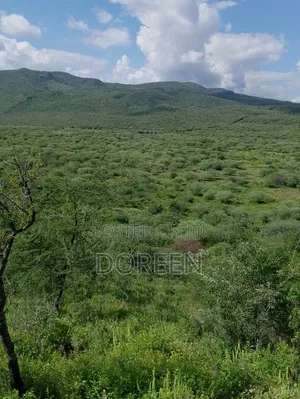 Land for Hotel Construction