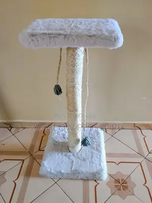 Cat Scratching Post and Scratcher