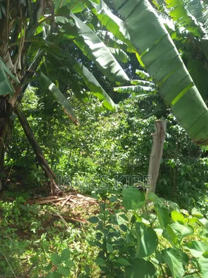 100by100 Plot for Sale in Ikinu, Kiambu 4th From Kiambu Ikinu Highway