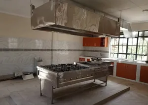 Modern Stainless Steel Commercial Kitchen Set Up(Cooker+Hood)