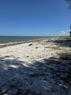 12 Acres Beachfront Watamu St Thomas Area for Sale as a Block