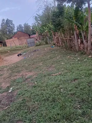 Plot for Sale.Mumias.