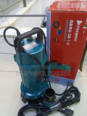 Premier QDX 2hp Submersible Water Pump