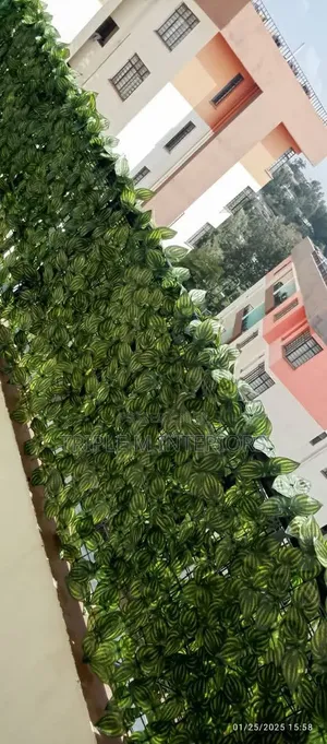 Greenwrap Outdoor Divider