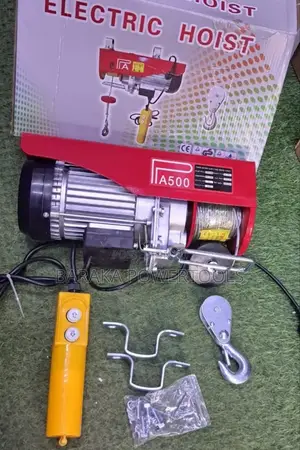 Hoist 500kgs Electric
