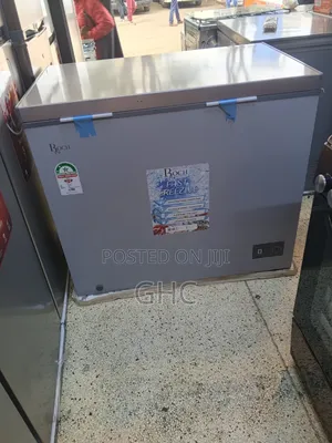 Roch 250l Deep Freezer