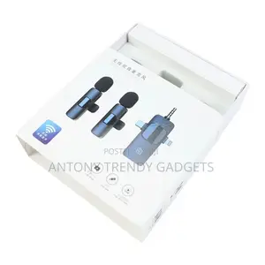  Dual Wireless Microphone Noise Reduction Interview