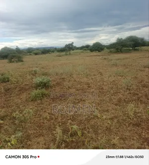 Land Available for Sale, 42 Acres