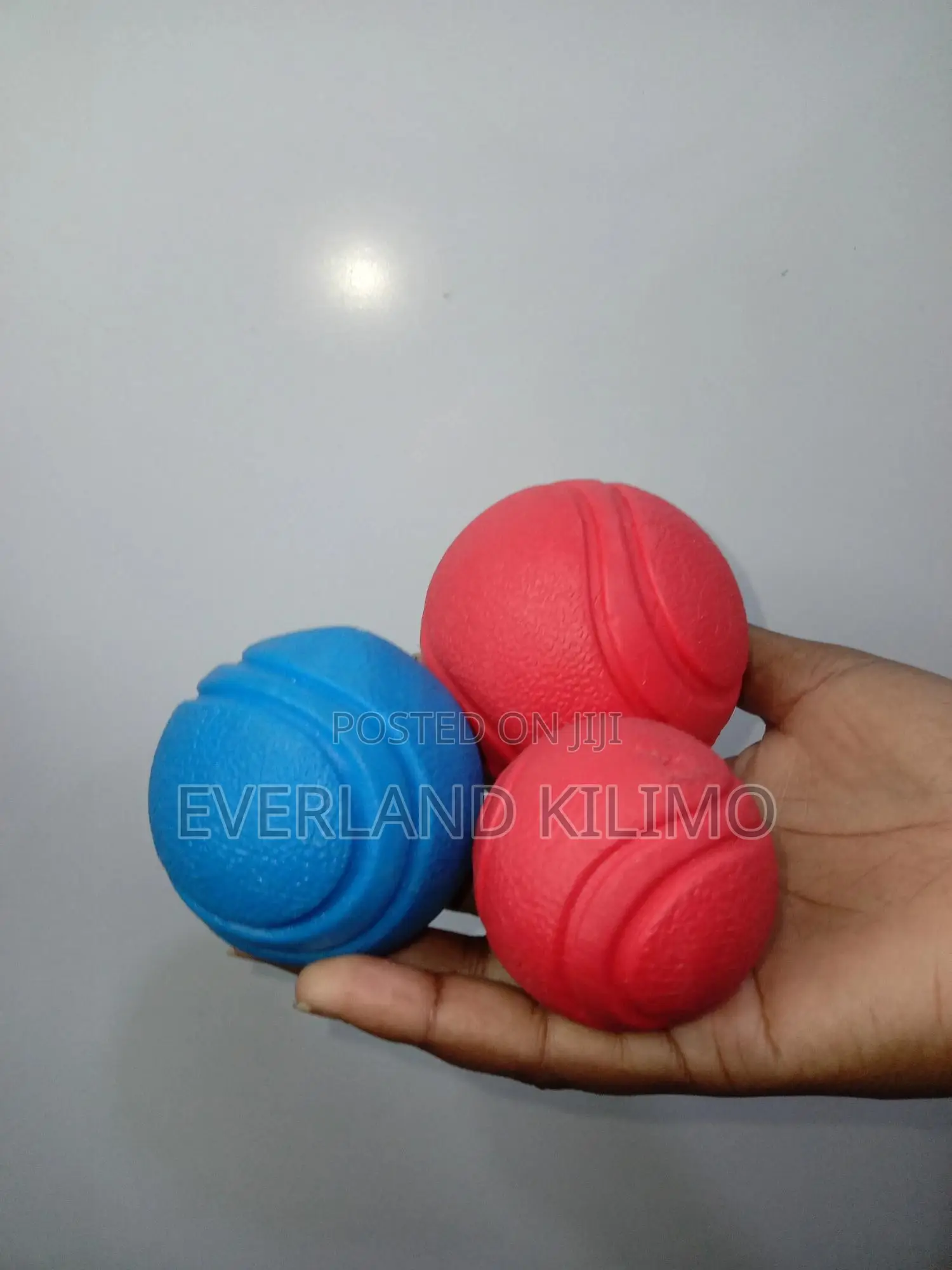 Bite-Resistant Rubber Dog Ball Toy