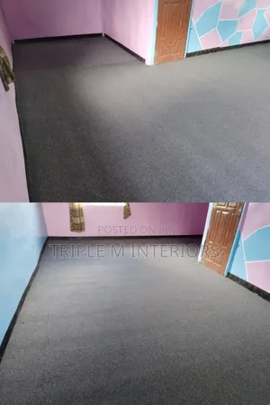 Beautiful Grey Delta Home Carpet