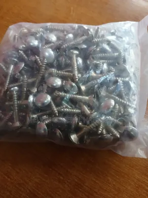 Mirror Screws 1"