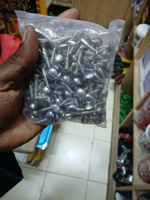 Mirror Screws 1"