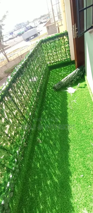 Green Floor Balcony Grass
