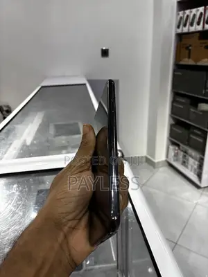 Apple iPhone 11 Pro Max 256 GB Gray