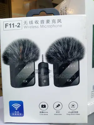 F11-2 Lavalier Mic Set With Windshield iPhone Android Cam