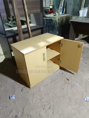 Low-Hight 2 Door Office Storage Cabinet With Light Oak Finish