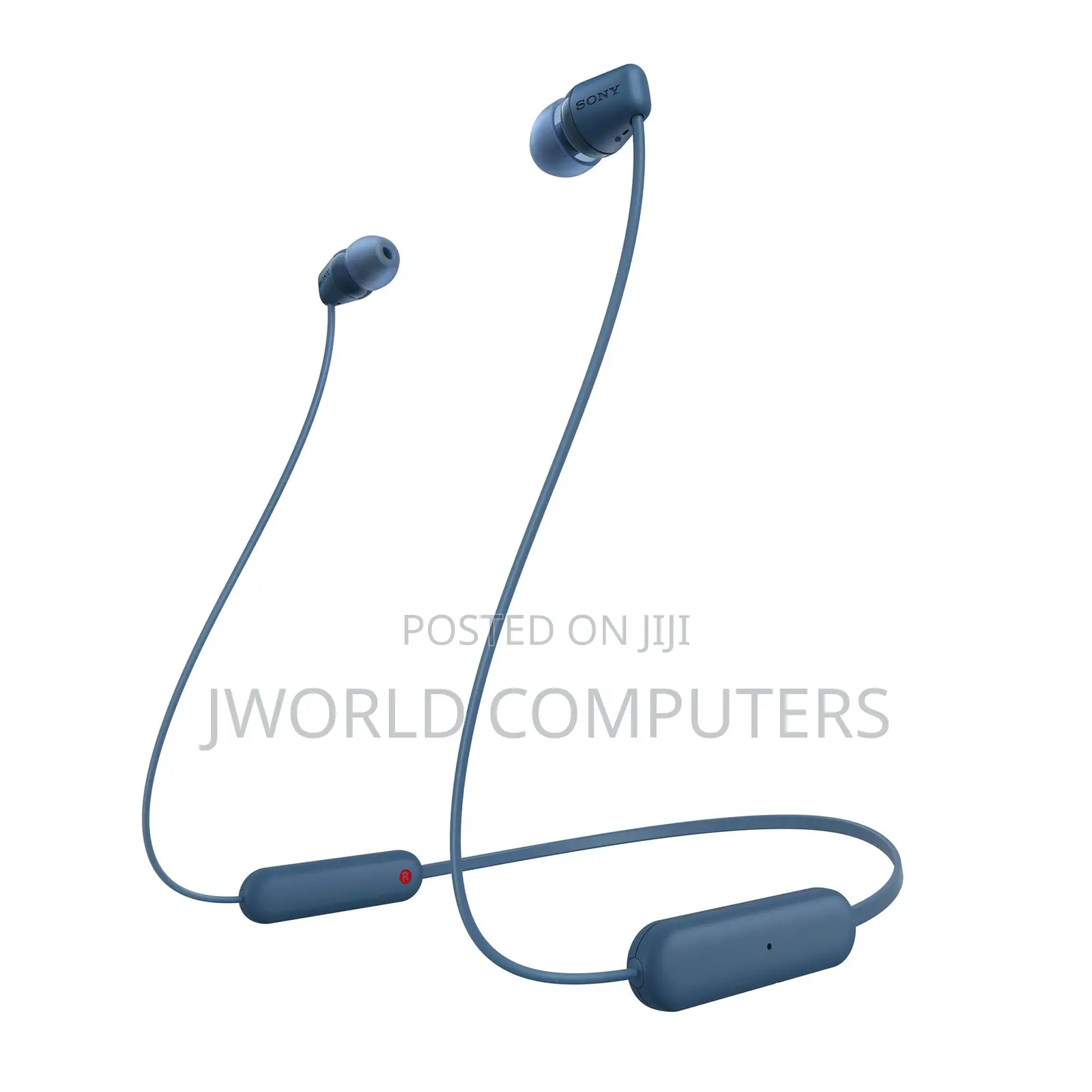 Sony Wi-C100 Earphones