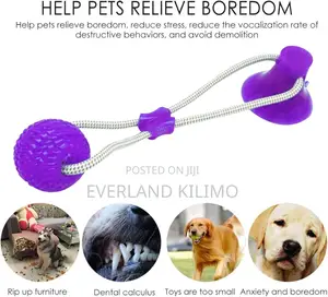 Interactive Pet Molar Chew Toy