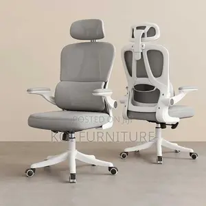Office Chairs; Vannilli Orthopedic Office Chairs