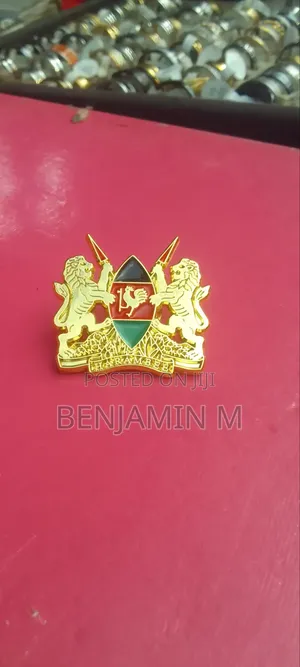 Jacket Pins