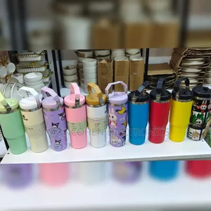 Kids Stanley Mugs