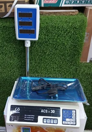 Acs 30 Computing Scale/ Digital Scale 30kgs