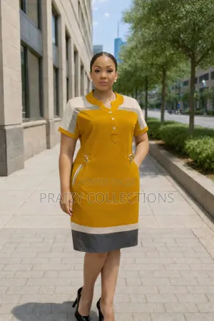 Elegant Two-Tone Dress
