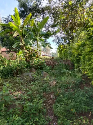 Plot for Sell