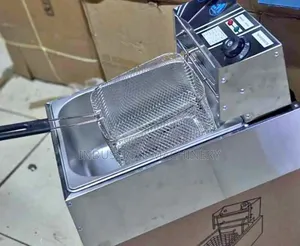 Chips Fryer Single