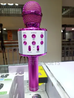 Ws-858l Wireless Mic Speaker Echo Karaoke Microphone