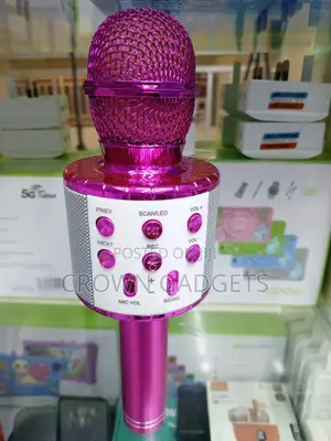 Ws-858l Wireless Mic Speaker Echo Karaoke Microphone