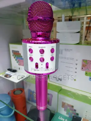 Ws-858l Wireless Mic Speaker Echo Karaoke Microphone