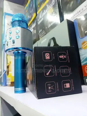 Ws-858l Portable Karaoke Mic RGB Lights Echo Control